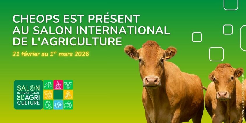 Du 21 février au 1er mars 2026